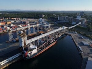 Black Sea Disruption Forces 500,000-Ton Wheat Pivot—Now the Shock Is Reaching Container Freight